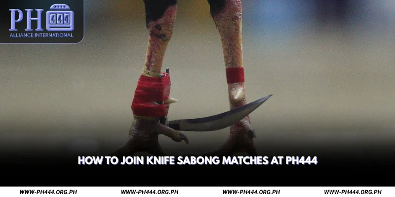 How to Join Knife Sabong Matches at Ph444