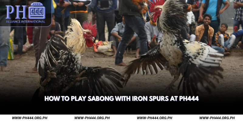 How to Play Sabong with Iron Spurs at Ph444