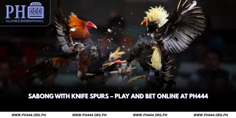 Sabong with Knife Spurs