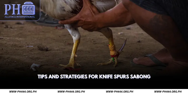 Tips and Strategies for Knife Spurs Sabong